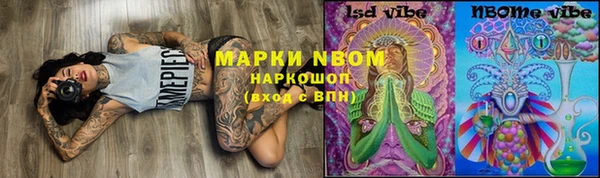 бошки Дмитров