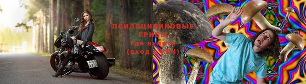 таблы Богородицк