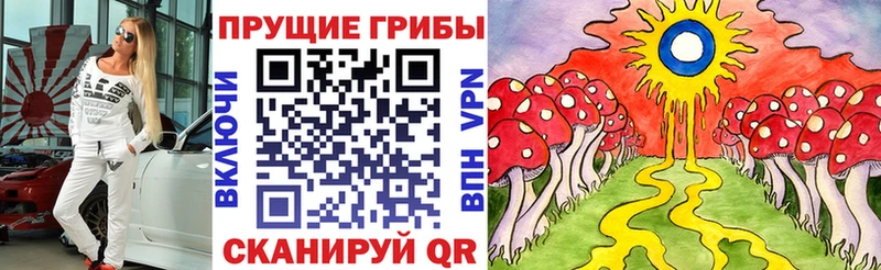 дарк нет официальный сайт blacksprut ТОР Псилоцибиновые грибы GOLDEN TEACHER Мураши где продают
