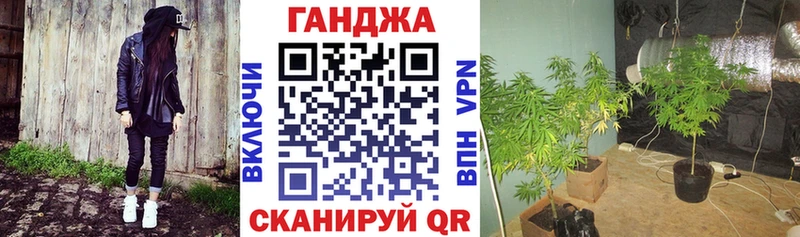 omg tor  наркошоп  Мураши  Шишки марихуана семена 